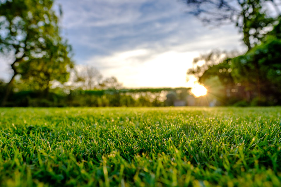 Majestic sunset seen in late spring, showing a recently cut and well maintained large lawn in a rural location.